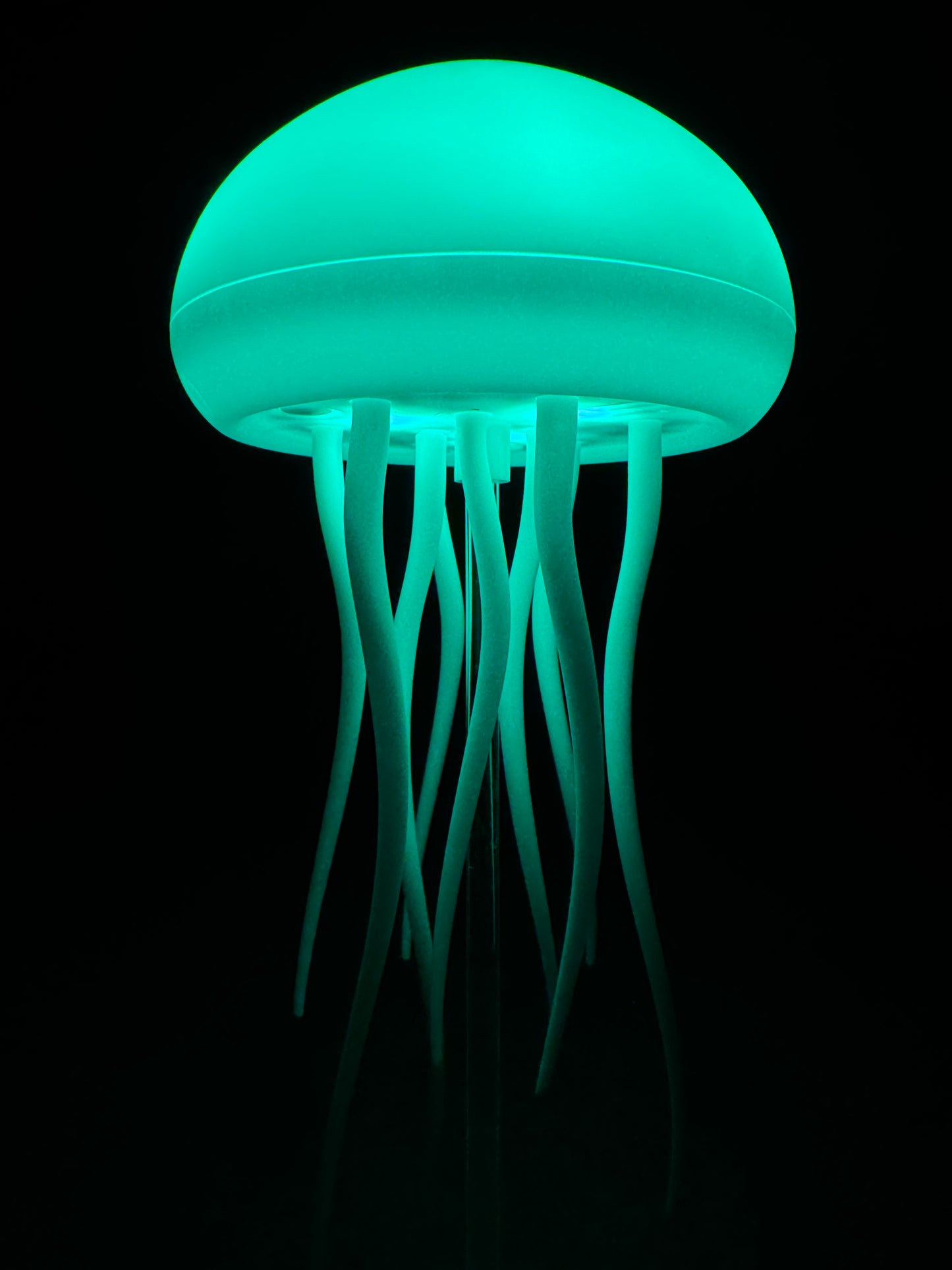 Jelly Fish Lamp