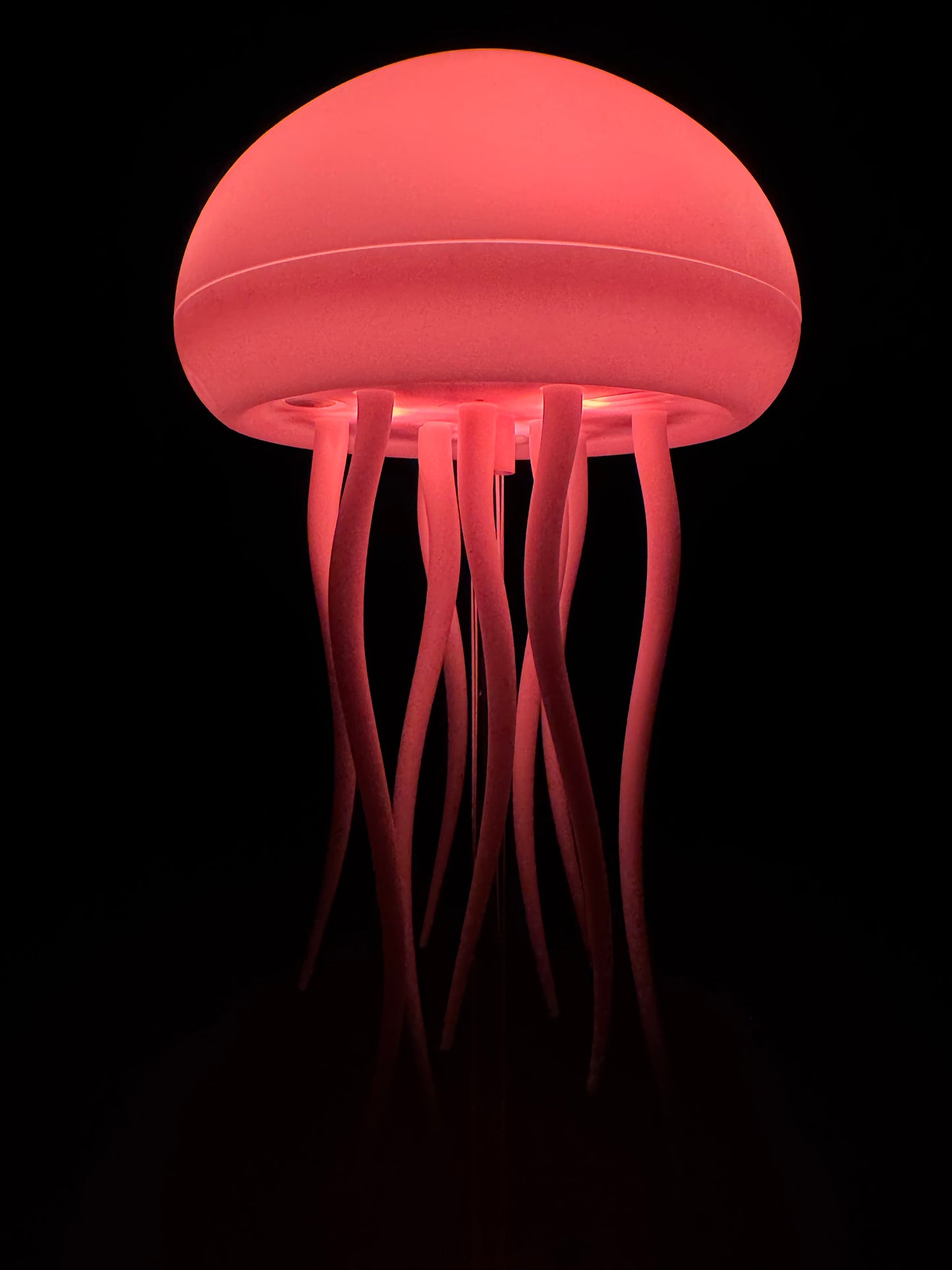 Jelly Fish Lamp