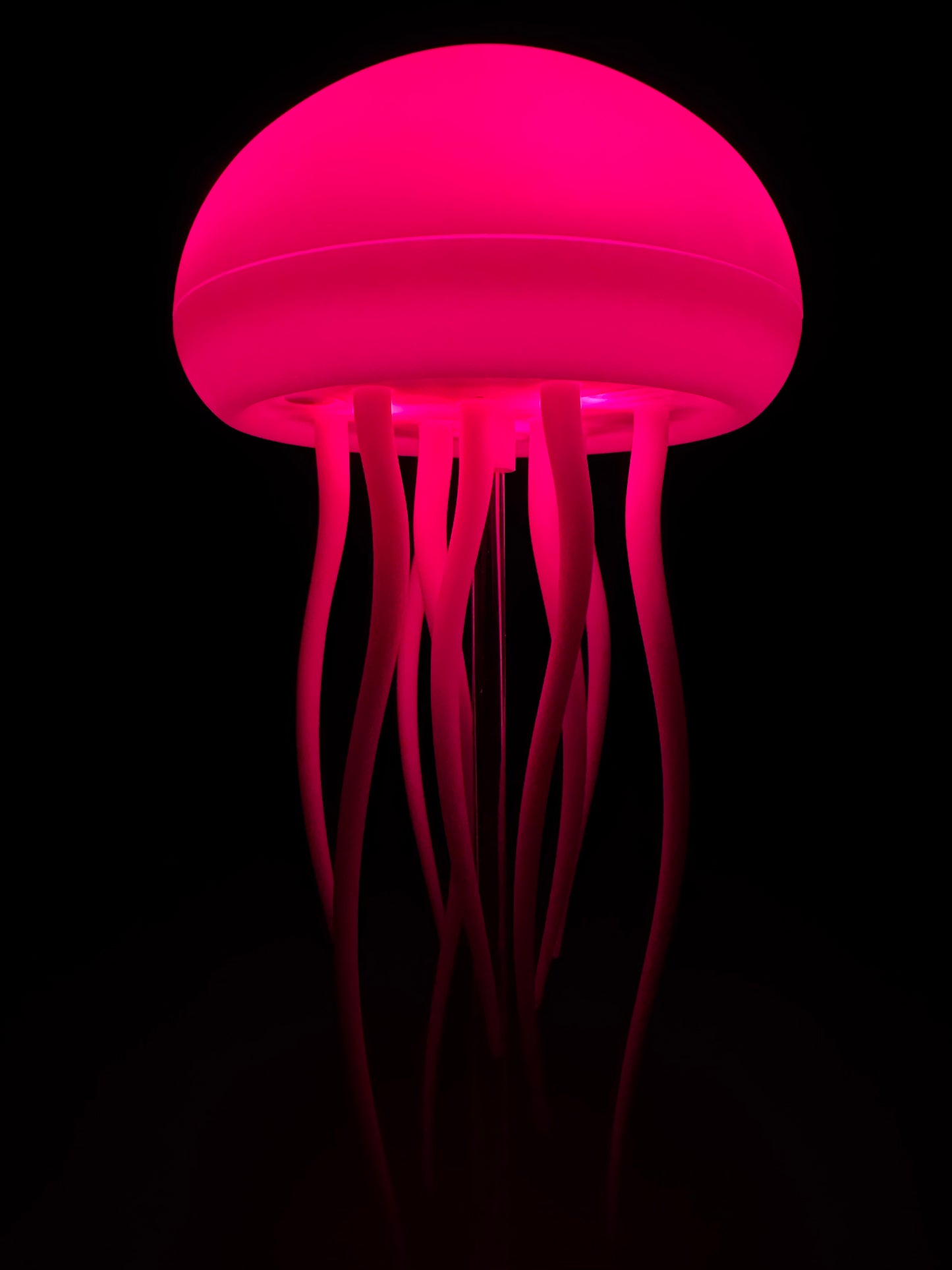 Jelly Fish Lamp