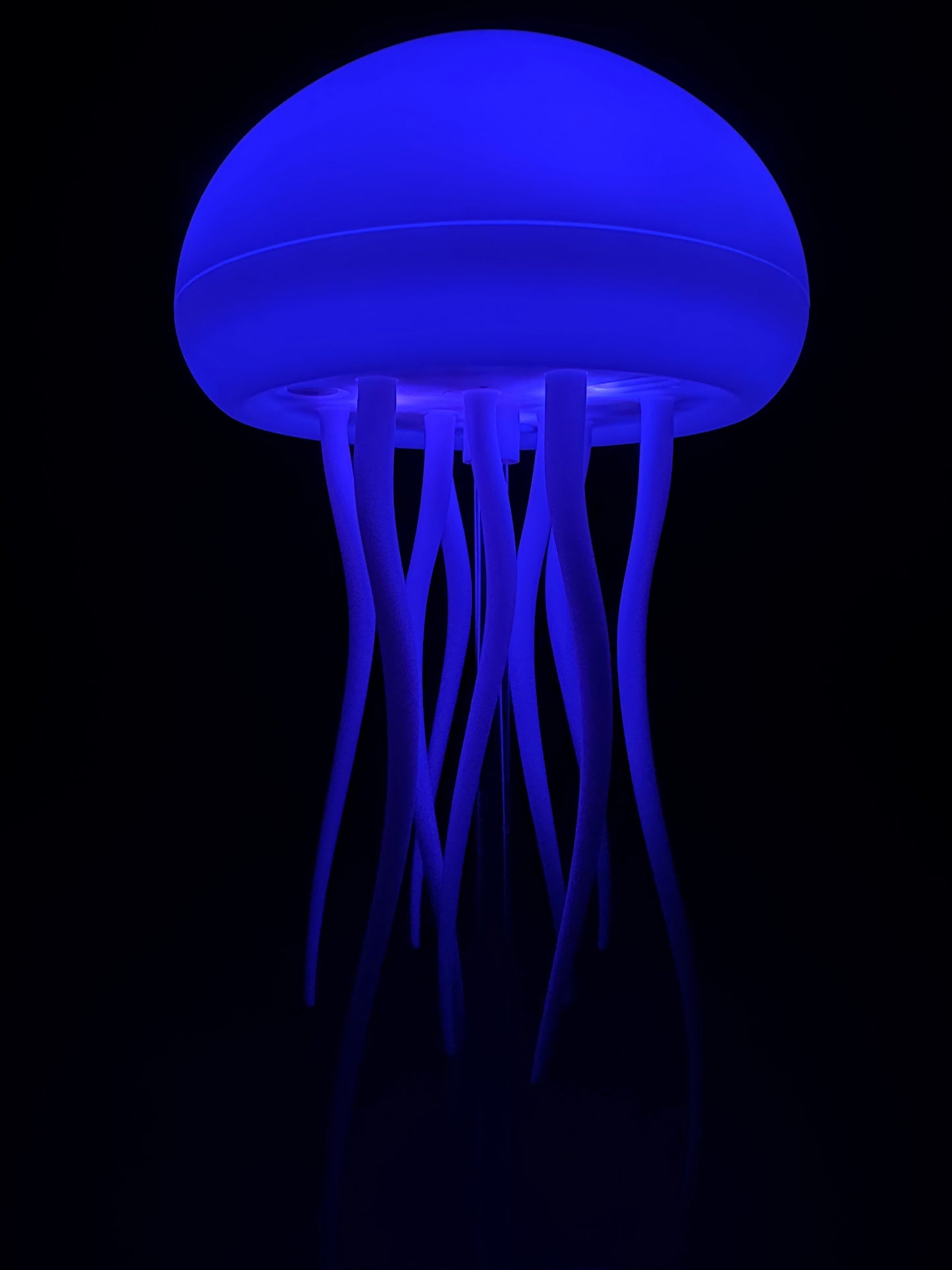 Jelly Fish Lamp