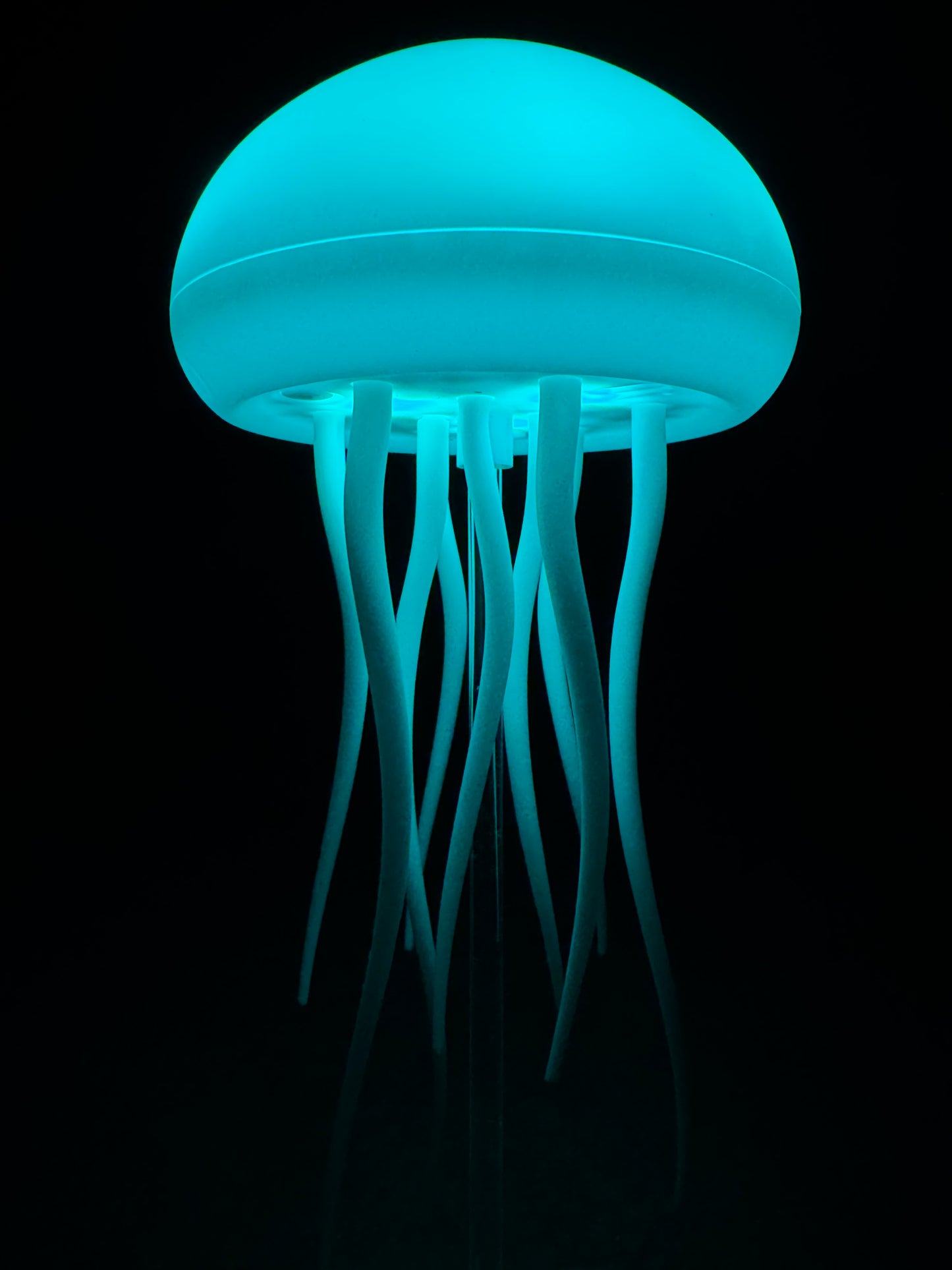 Jelly Fish Lamp