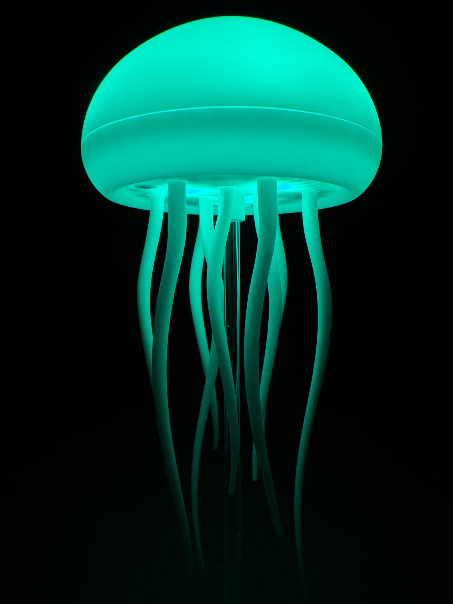 Jelly Fish Lamp